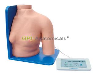 GPI/1014A肩關節腔內注射操作模型
