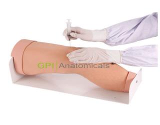 GPI/1016膝關節腔內注射操作模型