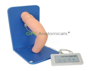GPI/1015A肘關節腔內注射操作模型