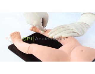 GPI/1003嬰兒骨穿操作模型