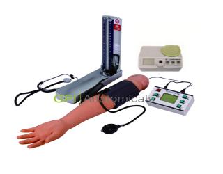 GPI/1023A血壓測量操作手臂模型