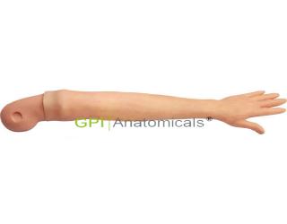 GPI/1104老年人動脈穿刺訓練手臂