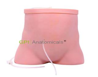GPI/1010腹膜透析護理操作模型