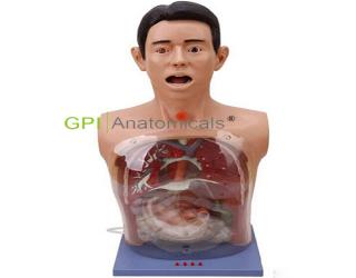GPI/H7-1帶警示透明洗胃模型