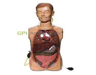 GPI/H80多功能透明洗胃訓練模型