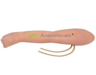 GPI/HS34高級嬰兒腿部靜脈穿刺模型