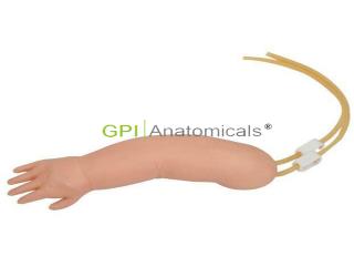 GPI/HS33高級幼兒手臂靜脈穿刺模型
