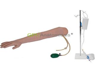 GPI/HS4E高級手臂動脈穿刺模型