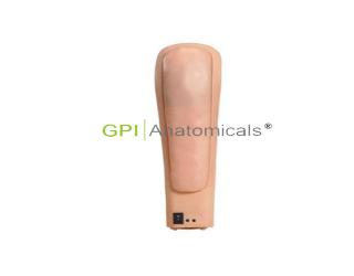 GPI/HS20E高級電子上臂肌肉注射訓練模型