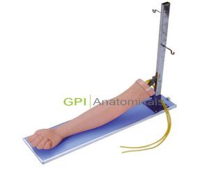 GPI/1007靜脈注射操作手臂模型（帶支架）