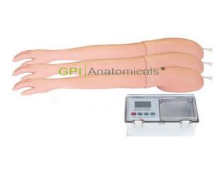 GPI/1107成人靜脈注射模型（3組/套）