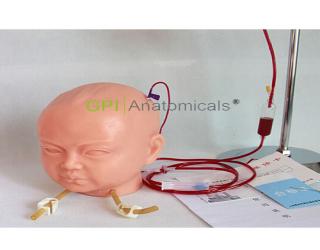 GPI/1023高級嬰兒頭部注射操作模型