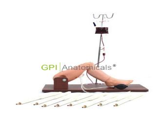 GPI/1001兒童骨穿及股靜脈穿刺操作模型