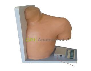 GPI/L70高級電子肩關節腔內注射模型