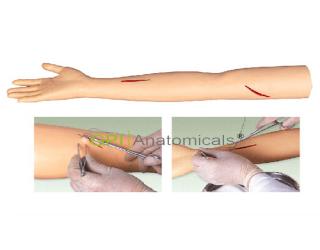 GPI/LV1高級外科手臂縫合訓練模型