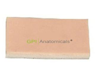 GPI/LV5-1皮脂腺囊腫切除術練習模塊