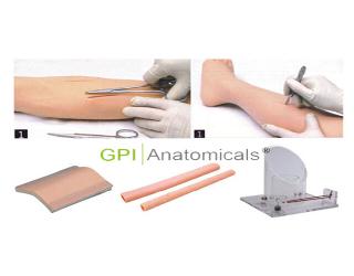 GPI/LV10外科綜合技能訓練組合模型