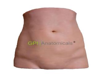 GPI/W202腹部切開縫合訓練模型