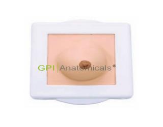 GPI/1031乳房檢查操作模型