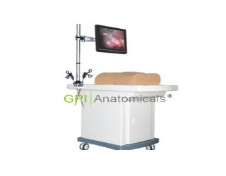 GPI/W860高級仿人體腹腔鏡操作訓練儀