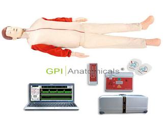 GPI/ALS1000高級心肺復蘇、AED除顫模擬人（計算機控制、二合一組合）
