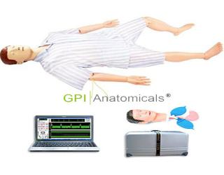 GPI/ALS880綜合急救護理訓練模擬人（急救、護理二合一）計算機控制