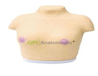 GPI/F7B高級乳腺視診與觸診模型