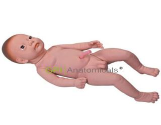 GPI/FT2（重3200g)高級出生嬰兒附臍帶模型(男嬰、女嬰任選)