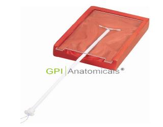 GPI/F9F高級宮內避孕器訓練模型