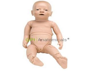 P30嬰兒護理模型，新生兒