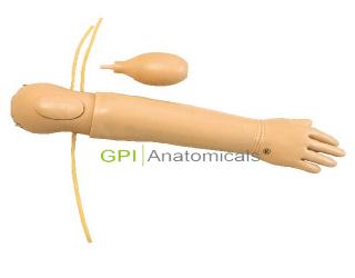 GPI/HS36高級嬰兒動脈注射模型