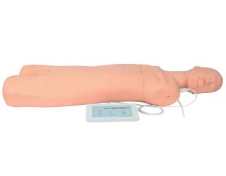 GPI/1040A鎖骨下靜脈穿刺模擬人（帶電子監測）