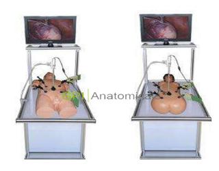GPI/III腹腔鏡手術技能訓練人體模型