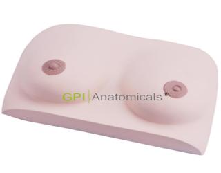 GPI/F7E乳房良性腫物切除模型