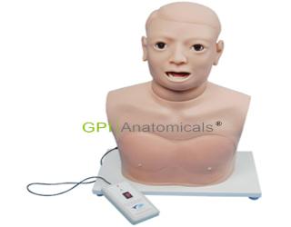 GPI1007/3A高級咽喉檢查模型(帶電子檢測)