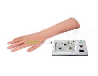 GPI/1035A電子腕掌指關節腔內注射模型