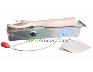 GPI/HS5F機械裝置動脈旋轉手臂模型