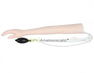 GPI/HS34動靜脈伴行手臂模型