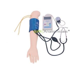 KDF/S7G高級手臂血壓測量訓練模型（彩色液晶）