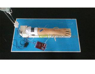 GPI/SBZP-2微電腦手臂靜脈輸液練習及考試自動評估系統模型
