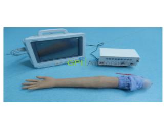 GPI/DMSB---3高級電動脈搏式手臂動脈穿刺訓練模型