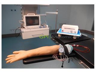 GPI/DjMSB---2高級電動脈搏式手臂動脈及靜脈穿刺練習模型