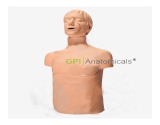 GPI/CPR169+高級成人氣道梗塞模型