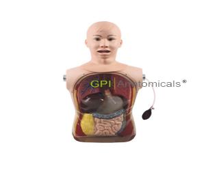 GPI/H81高級鼻胃管與氣管護理模型