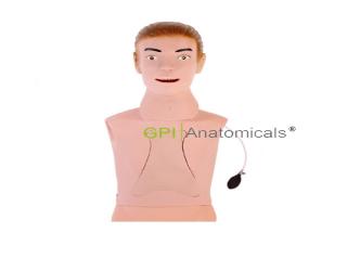 GPI/H70-1高級鼻飼管與氣管護理模型