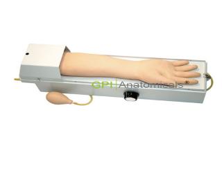 GPI/HS4F旋轉式橈動脈穿刺手臂模型