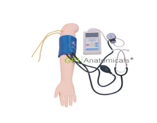GPI/HS7高級手臂血壓測量訓練模型