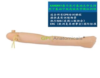 GPI/1001可更換的血壓手臂模型(與心肺復蘇模型配套使用）
