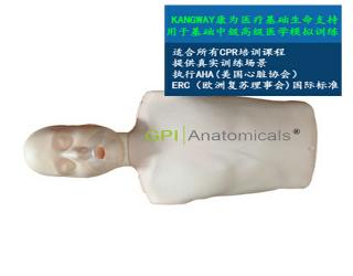 GPI/CPR100簡易電子版半身心肺復蘇模擬人
