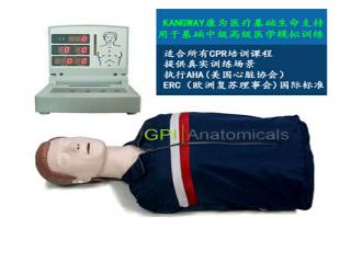 GPI/CPR260高級電腦半身心肺復蘇模擬人